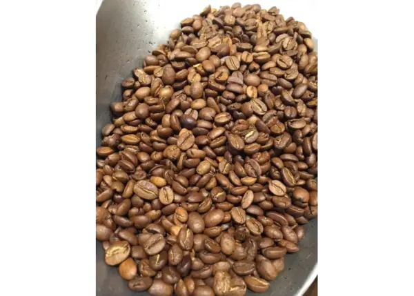 Brazilian Coffee Beans Fresh Roasted 1 lb Bag Whole Bean Premium