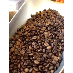 Bronx Zoo Blend Coffee - Cerini Original 1 lb Bag