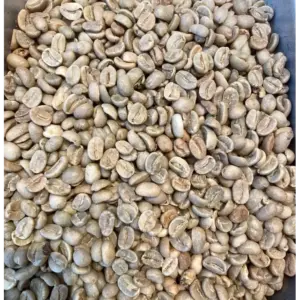 Colombian Green Coffee Unroasted Raw Beans 1 lb Bag