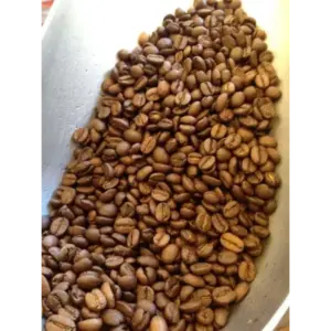 Costa Rican Coffee Fresh Roasted 1lb Whole Bean Bags