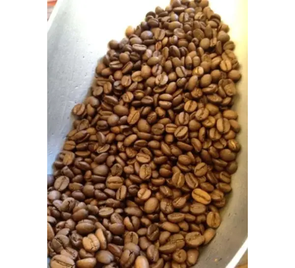 Costa Rican Coffee Fresh Roasted 1lb Whole Bean Bags