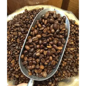 Gourmet Chocolate Coffee Beans 1lb Bag