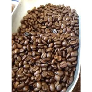 Hazelnut Coffee Beans 1lb Fresh Roast Bag