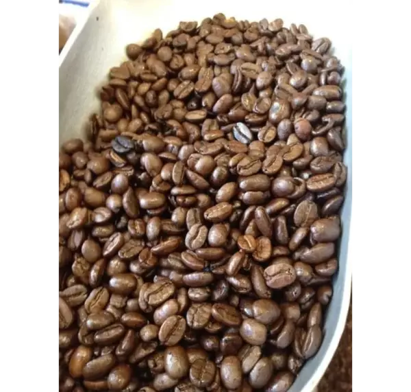 Hazelnut Coffee Beans 1lb Fresh Roast Bag