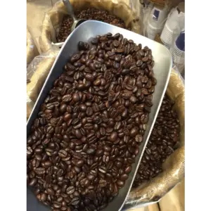 Kenyan AA French Roast Coffee Beans - Rich & Bold Flavor