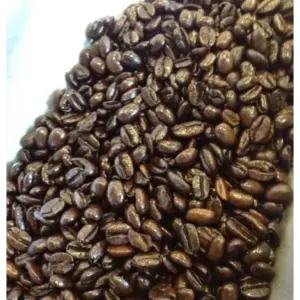Organic Mexican Italian Roast Coffee Beans 1 lb Bag