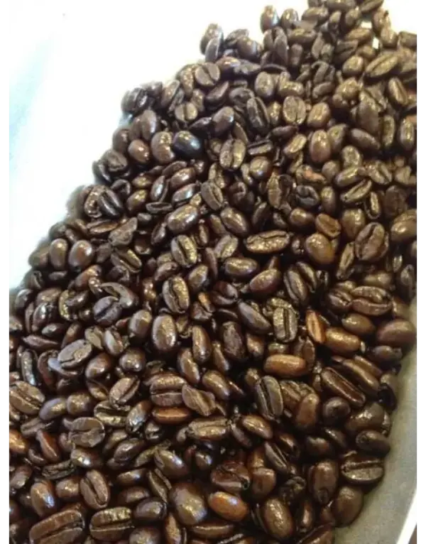 Organic Mexican Italian Roast Coffee Beans 1 lb Bag