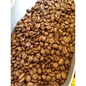 Peruvian Organic Coffee Beans Fresh Roasted 1 lb Bag