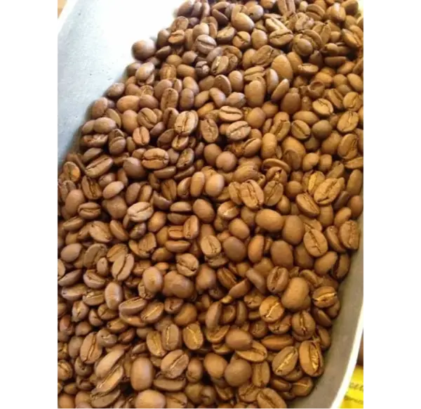 Peruvian Organic Coffee Beans Fresh Roasted 1 lb Bag